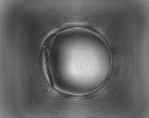 X0000066961163200603311416