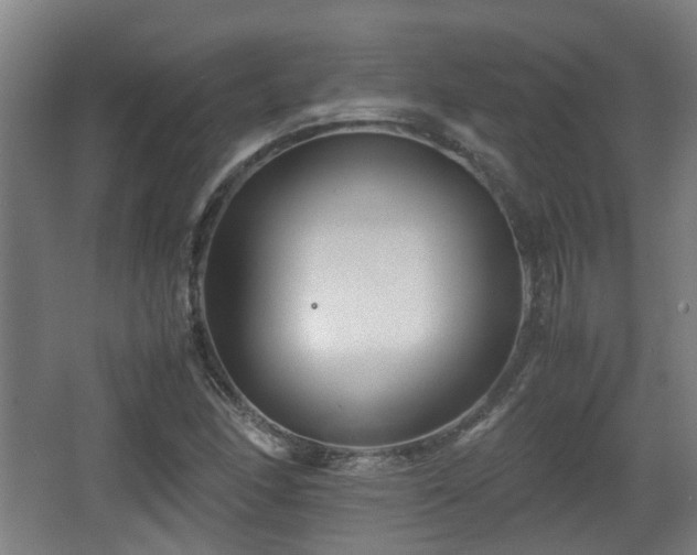 X0000066961166200603311416