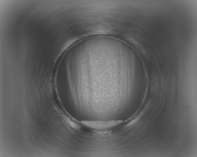 X0000066961170200603311415