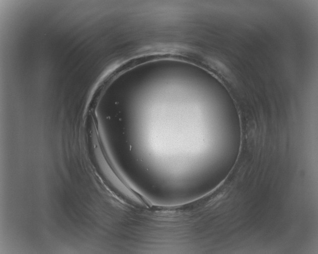 X0000066961172200603311415