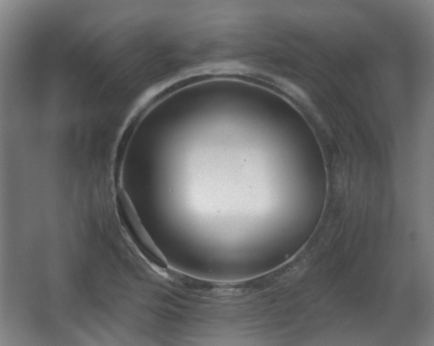 X0000066961176200603311415