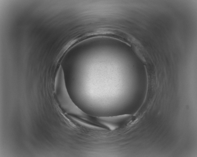 X0000066961177200603311415