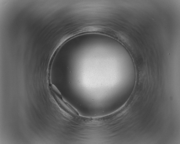 X0000066961178200603311415