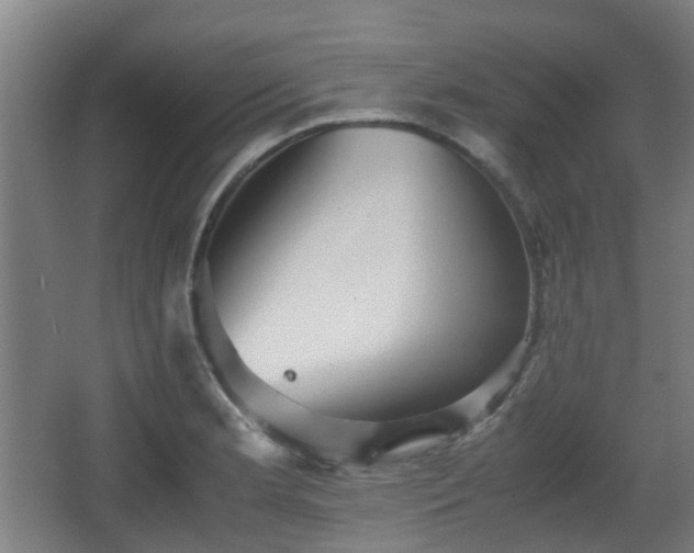 X0000066961181200603311415