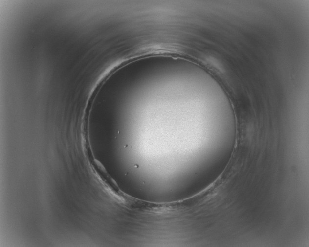 X0000066961182200603311415