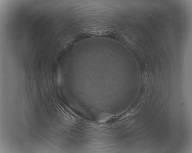 X0000066961202200603311414