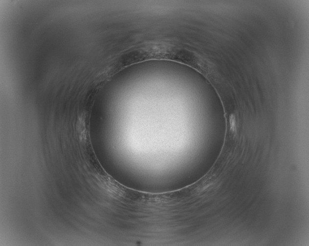 X0000066961203200603311414
