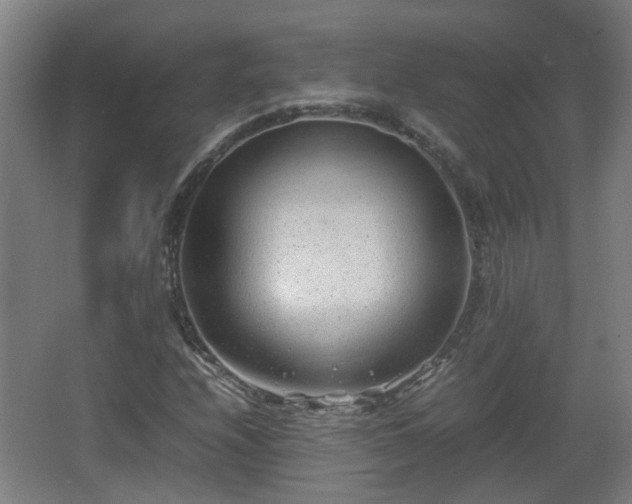 X0000066961208200603311414