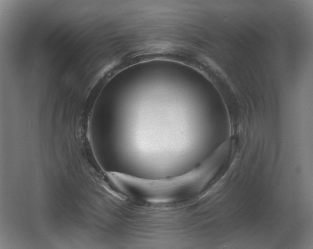 X0000066961210200603311414