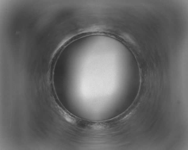 X0000066961216200603311414