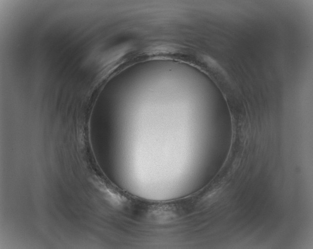 X0000066961217200603311414