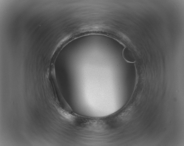 X0000066961218200603311414