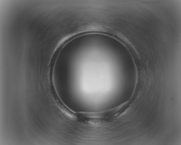 X0000066961222200603311415