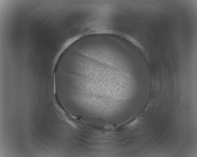 X0000066961223200603311415