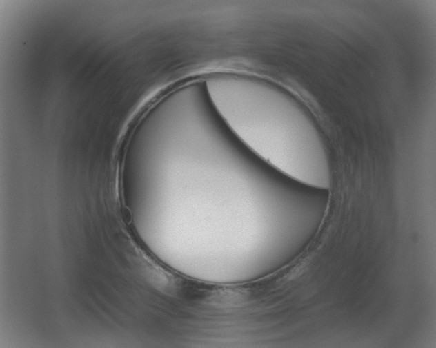 X0000066961224200603311415