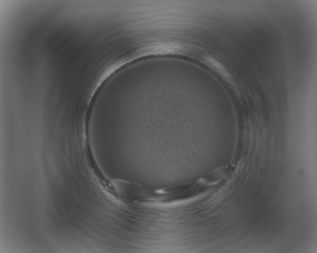 X0000066961226200603311415