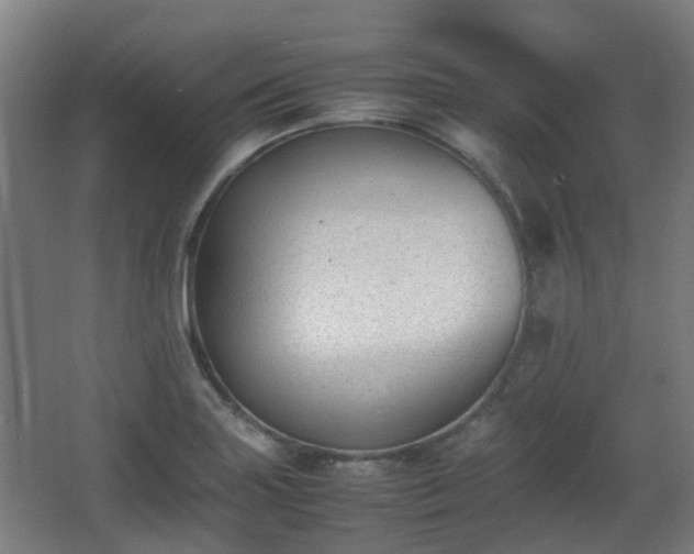 X0000066961227200603311415