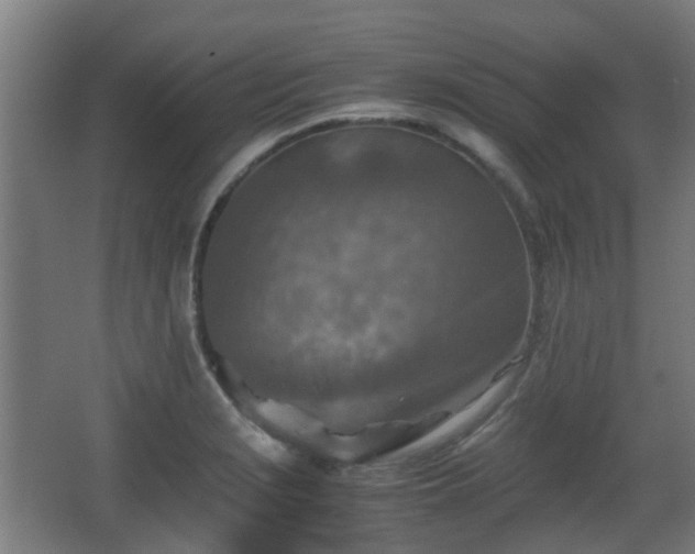 X0000066961229200603311415