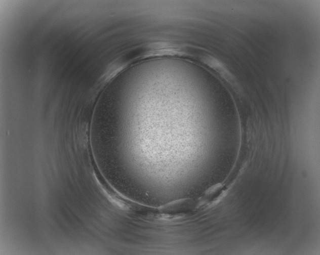 X0000066961233200603311415