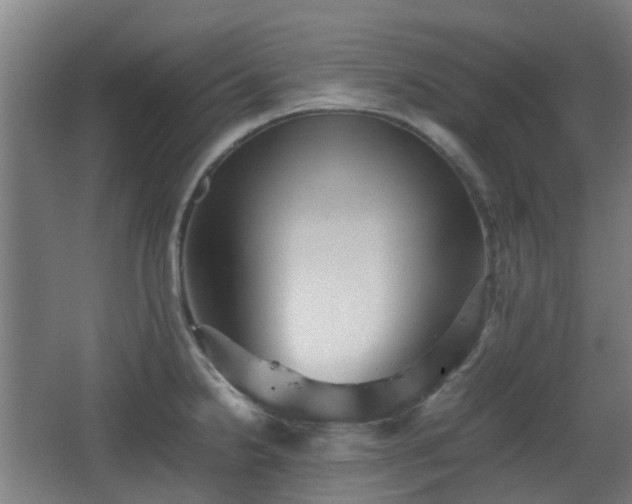 X0000066961238200603311415