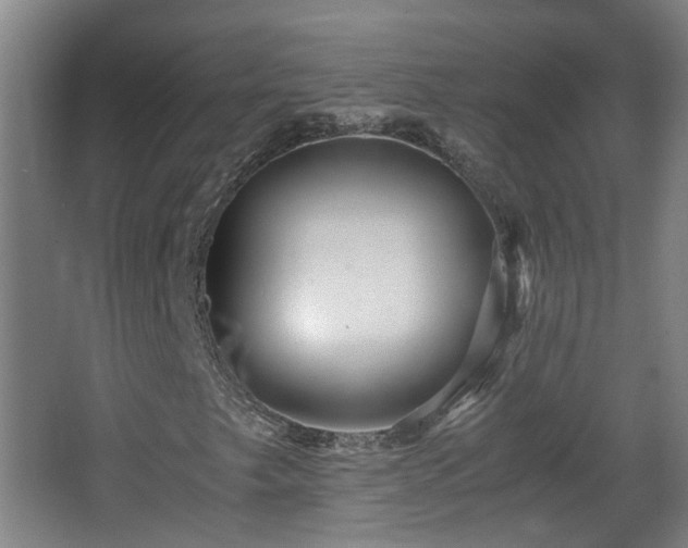 X0000066961249200603311414
