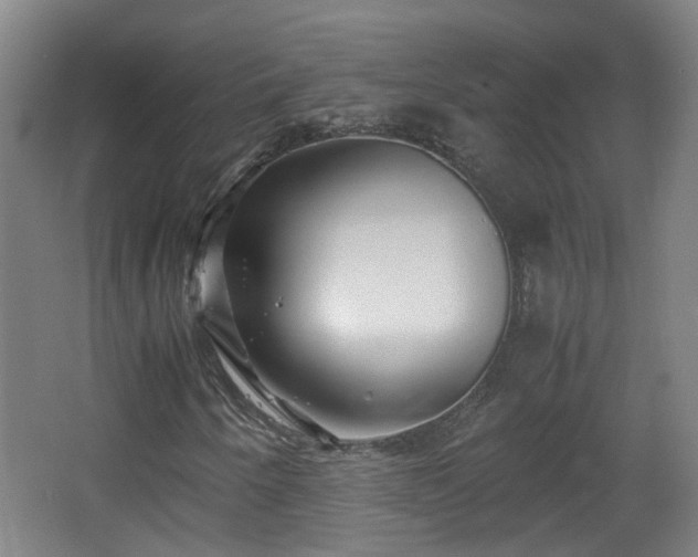 X0000066961250200603311414