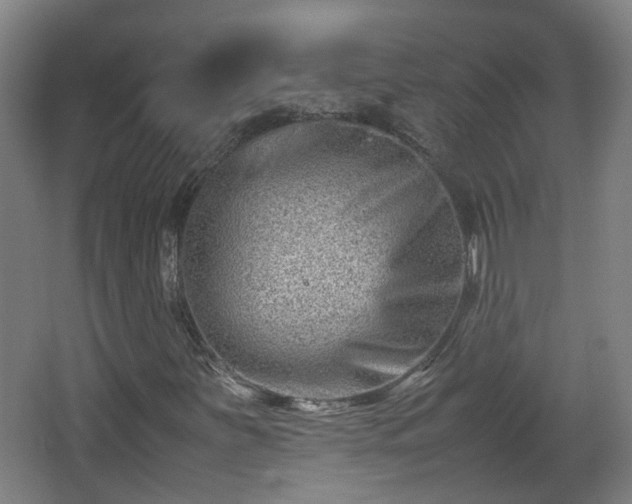 X0000066961251200603311414