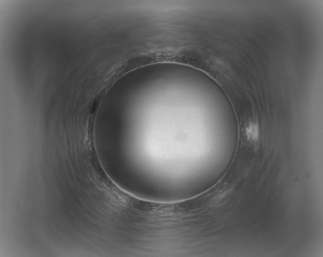 X0000066961252200603311414
