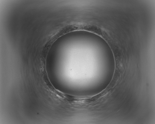 X0000066961253200603311414