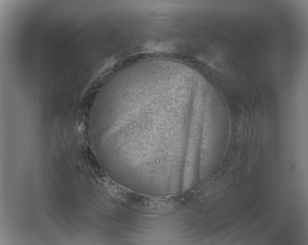 X0000066961254200603311414