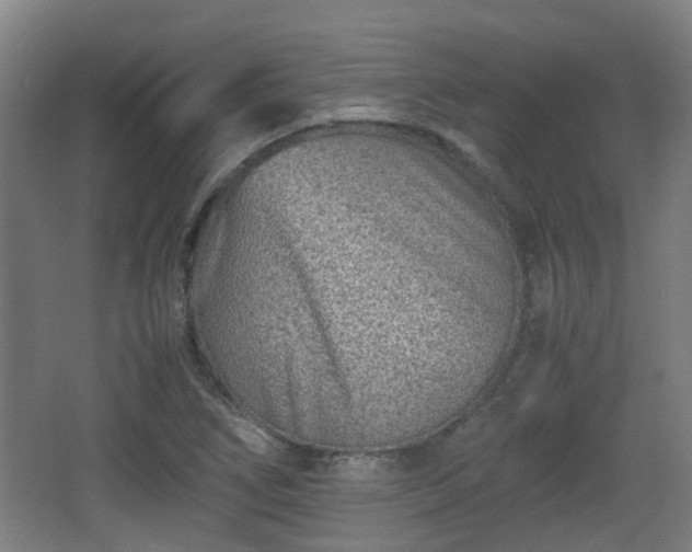 X0000066961266200603311414
