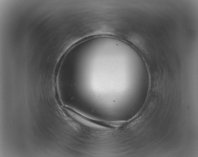 X0000066961268200603311414