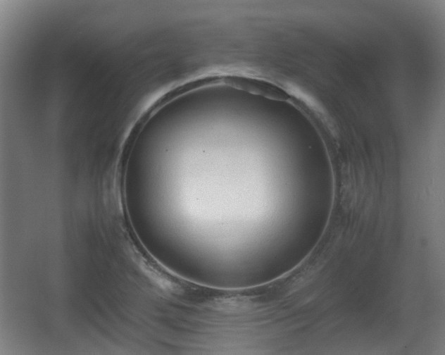 X0000066961272200603311414