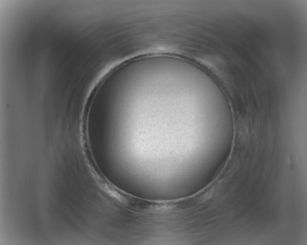 X0000066961278200603311414