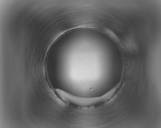 X0000066961284200603311414
