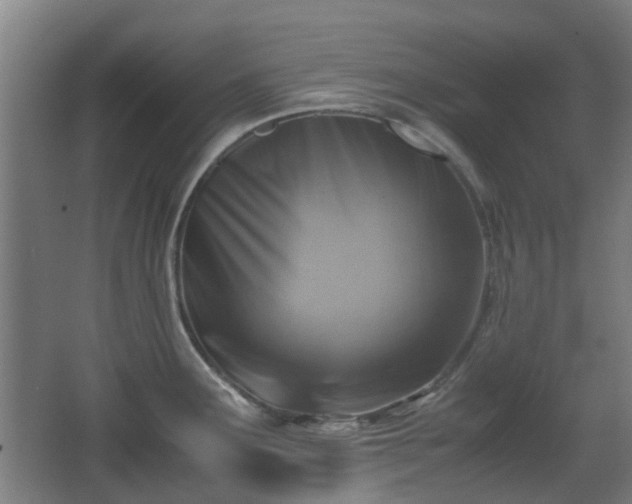 X0000066961291200603311413