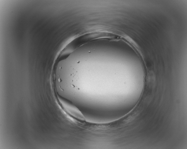 X0000066961293200603311413