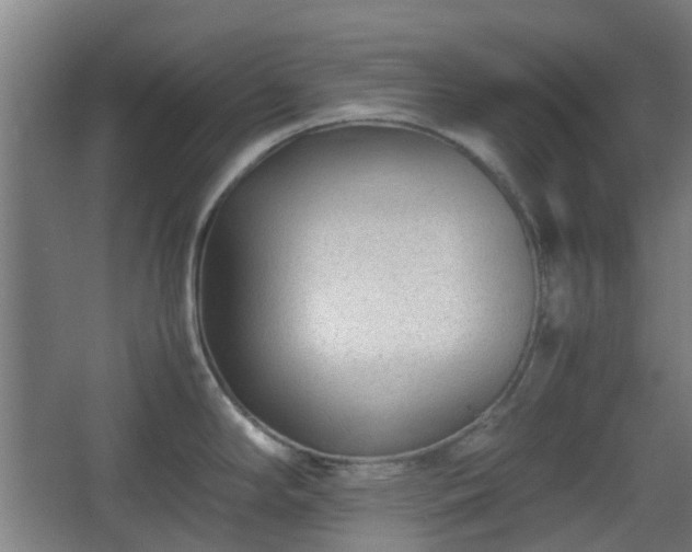 X0000066961294200603311413