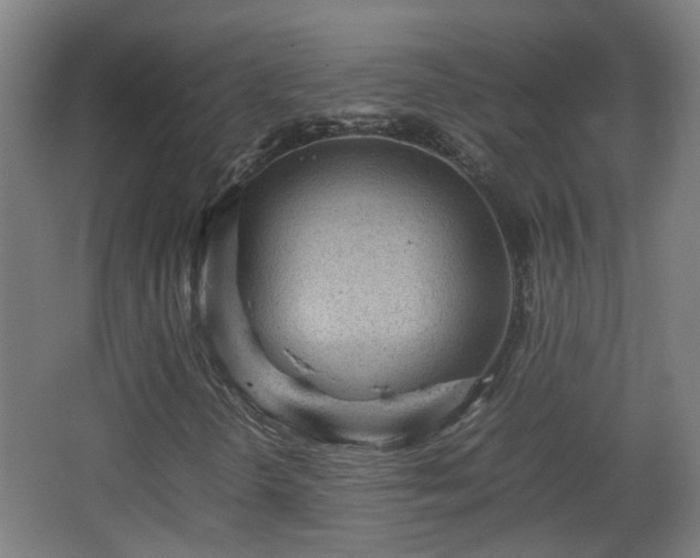X0000066961298200603311413