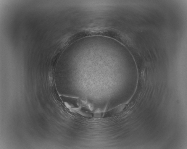 X0000066961300200603311413