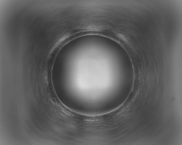 X0000066961307200603311413