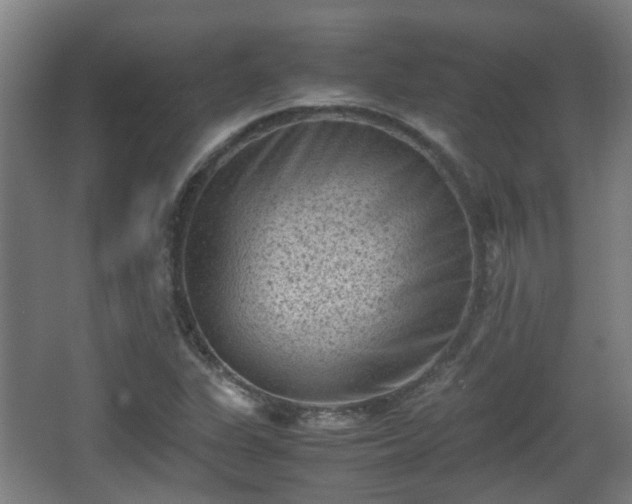 X0000066961311200603311413