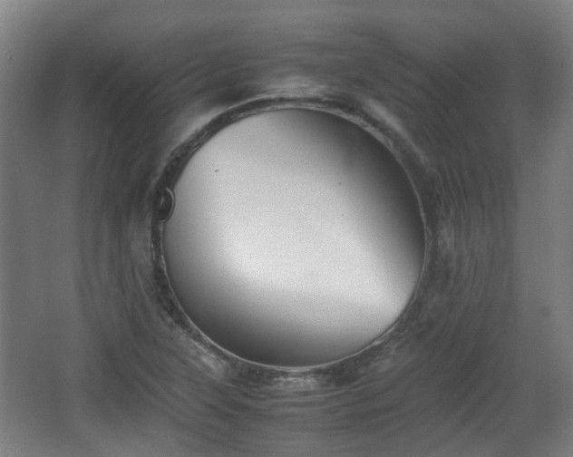 X0000066961315200603311413