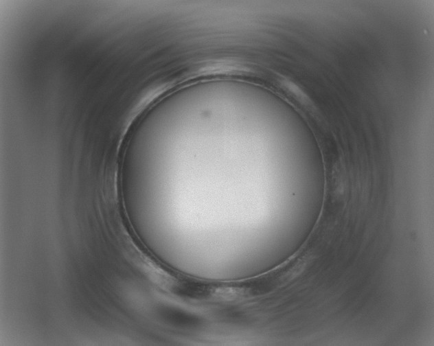 X0000066961322200603311413