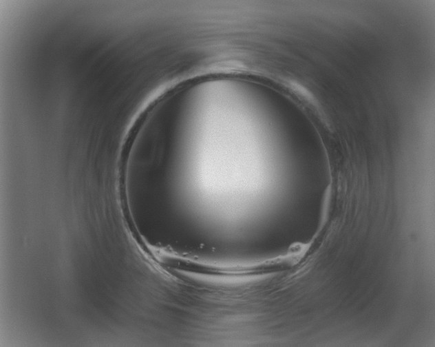 X0000066961326200603311413