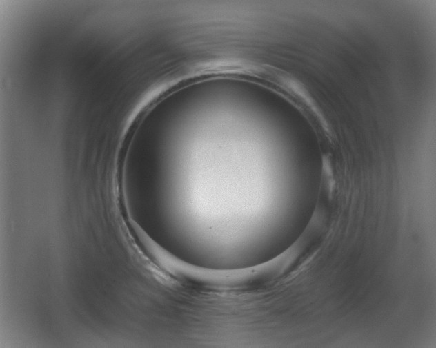 X0000066961328200603311413