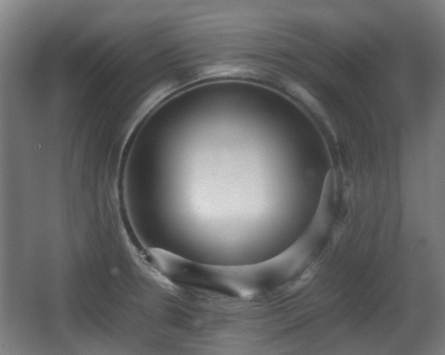 X0000066961330200603311413