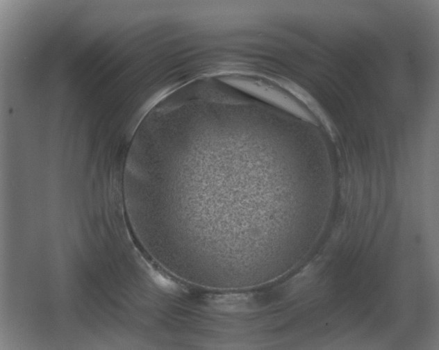 X0000066961337200603311413