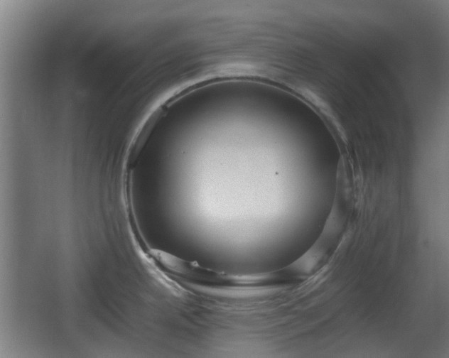 X0000066961342200603311413