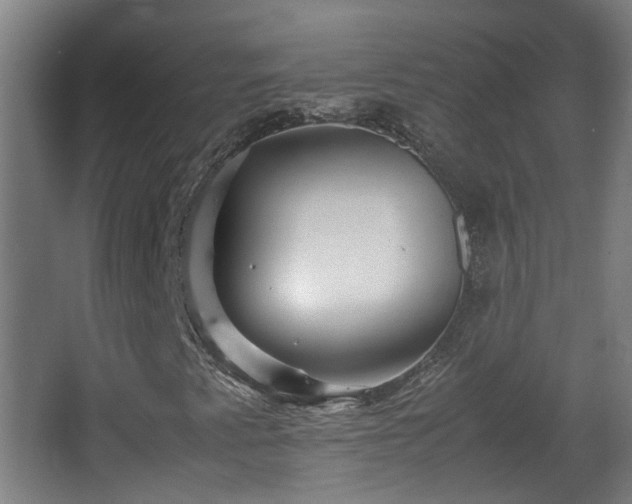 X0000066961345200603311412